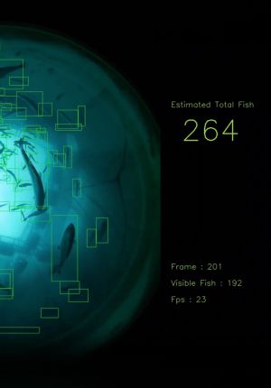 Computer vision interface showing an underwater fish pen with green bounding boxes tracking individual fish, alongside readouts for estimated total fish (264), frame number, visible fish, and FPS.