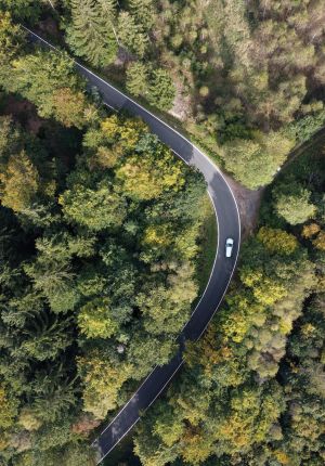 Overhead drone view of a single white car driving along a curving asphalt road through a mixed green and yellow autumn forest.