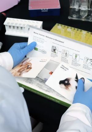 A gloved lab technician in a white coat opening a cat DNA test kit box with instructional diagrams and photos of cats printed inside.