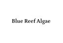 blue reef algae logo