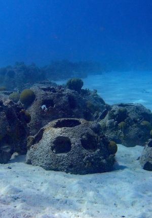 Dome-shaped artificial reef modules with circular openings resting on a sandy seabed, colonized by coral growth in clear blue water.