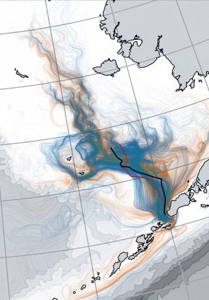 Oceanographic model map showing dense blue and orange current trajectory streamlines converging near a coastline, overlaid with two solid track lines.