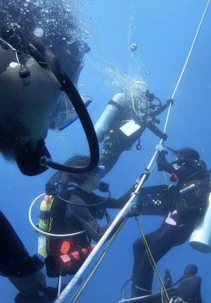 Several scuba divers working together underwater along a guide line in deep blue water, carrying collection crates and equipment.