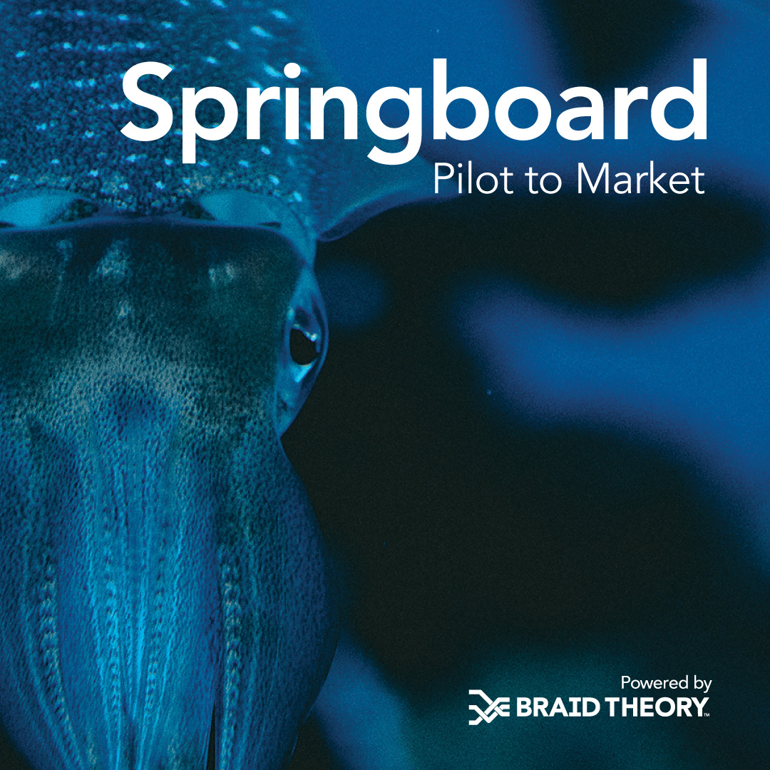 Springboard