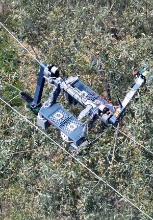 Aerial view of a robotic arm with a chainsaw attachment suspended on cables above an olive orchard canopy.