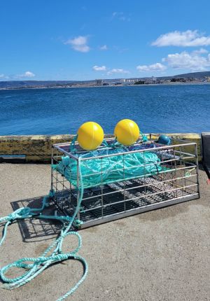 A stainless steel fishing trap loaded with coiled teal rope and two yellow float balls, sitting on a concrete quay overlooking a blue bay.
