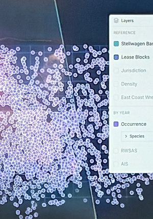 Close-up of a data visualization screen showing a dense cluster of purple dot markers representing species occurrence data, with a layers panel listing options like Stellwagen Bank, Lease Blocks, Jurisdiction, Density, and Occurrence by species.