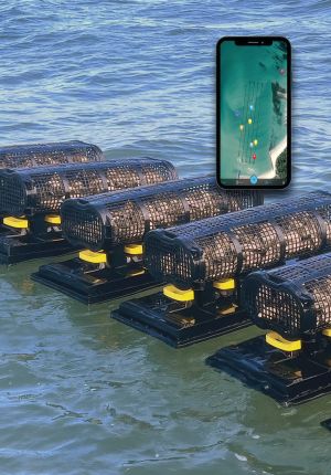 Rows of black cylindrical oyster grow-out baskets floating on the water's surface, with a smartphone showing a farm map with colored location pins overlaid.